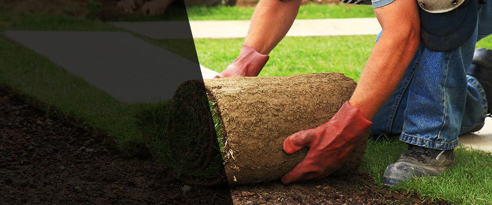 Lake Orion Landscapers